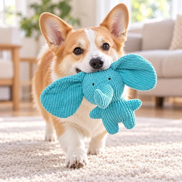 Squeaky Croissant Dog Toys